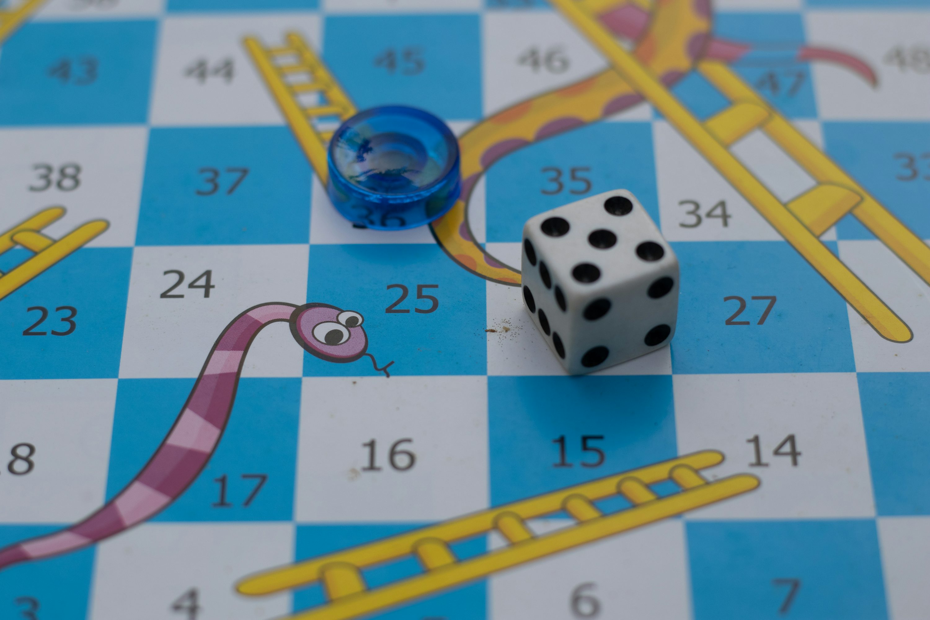 Snake and Ladder